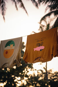 Organic Cotton Fillarifisu Men's T-shirt - VAI-KOShirts & Tops