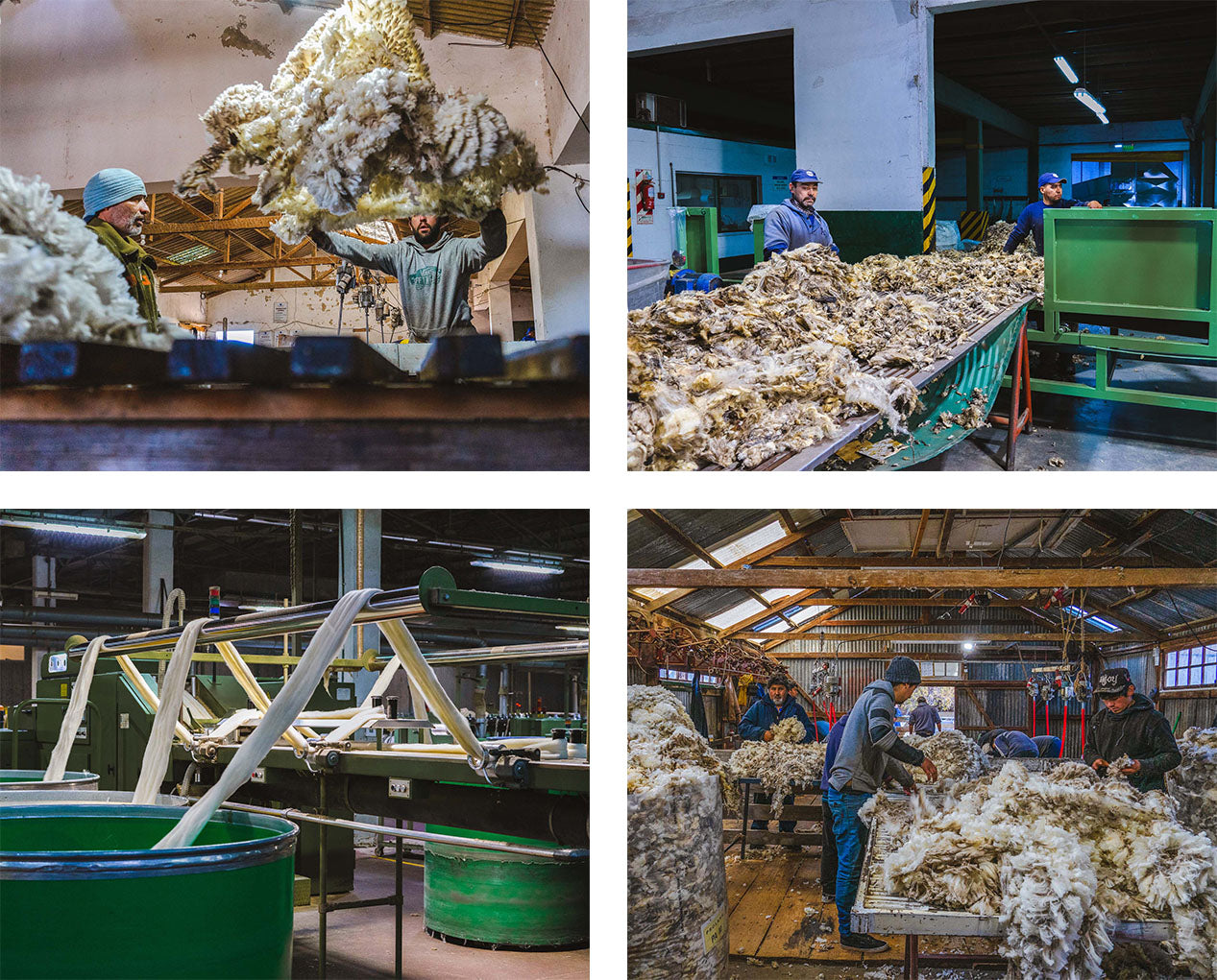 Workers sorting and processing raw wool in a factory setting, with machinery and large bins visible.